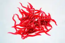 Живая насадка