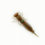 Силикон Larva 3.5, цвет 004 (4шт)